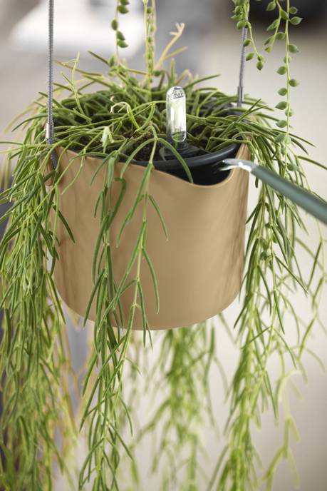 b.for swing 18cm goudkleurig zand